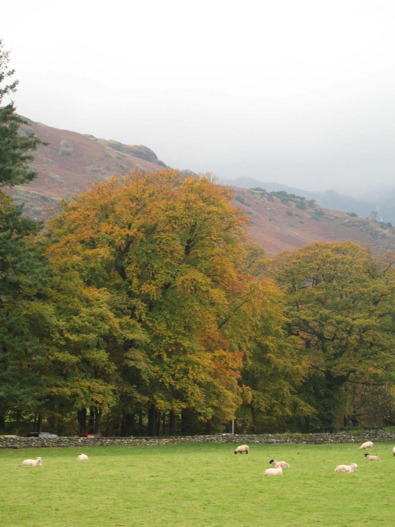 Crompton House Daire Windermere Dış mekan fotoğraf