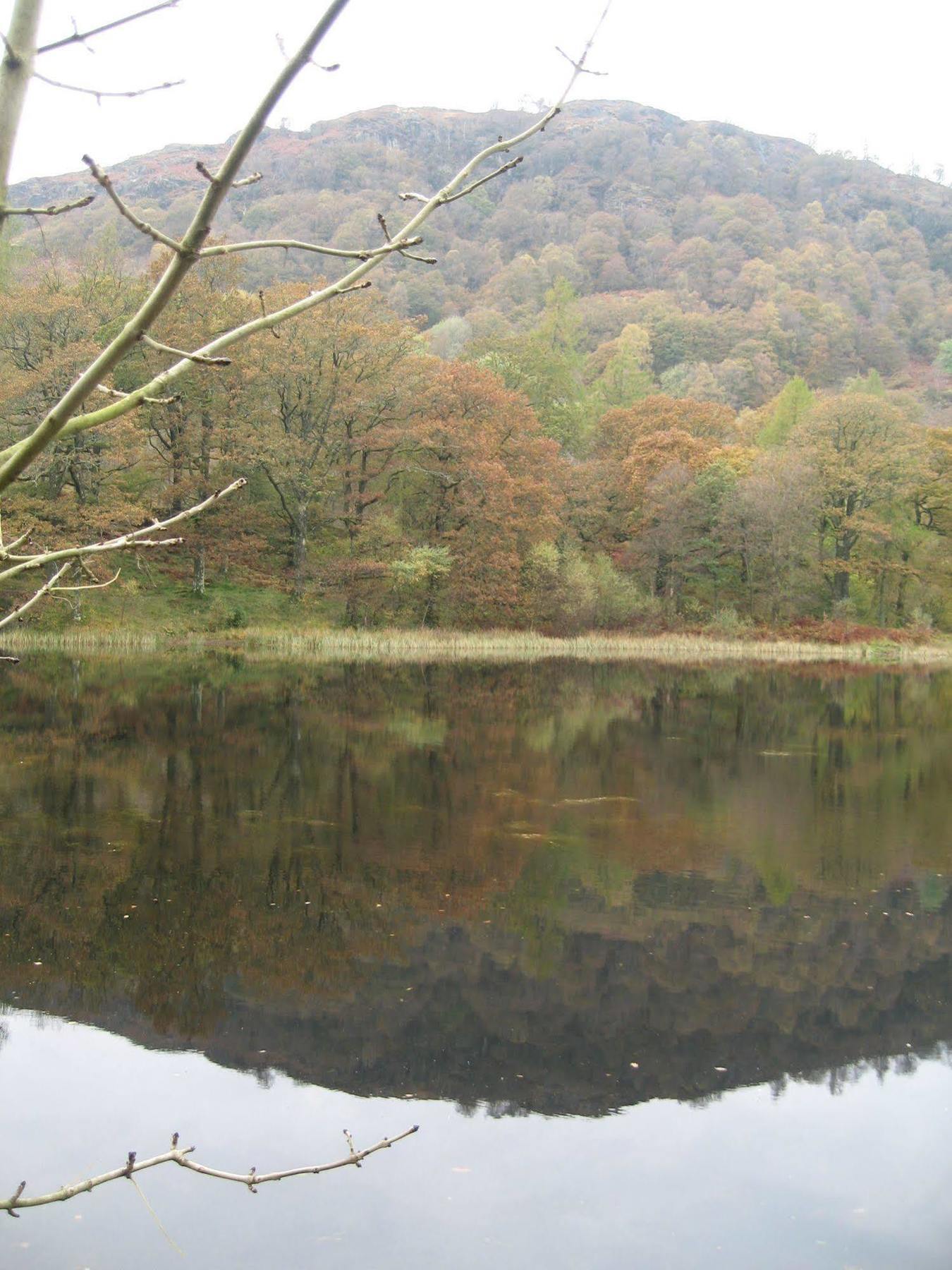 Crompton House Daire Windermere Dış mekan fotoğraf