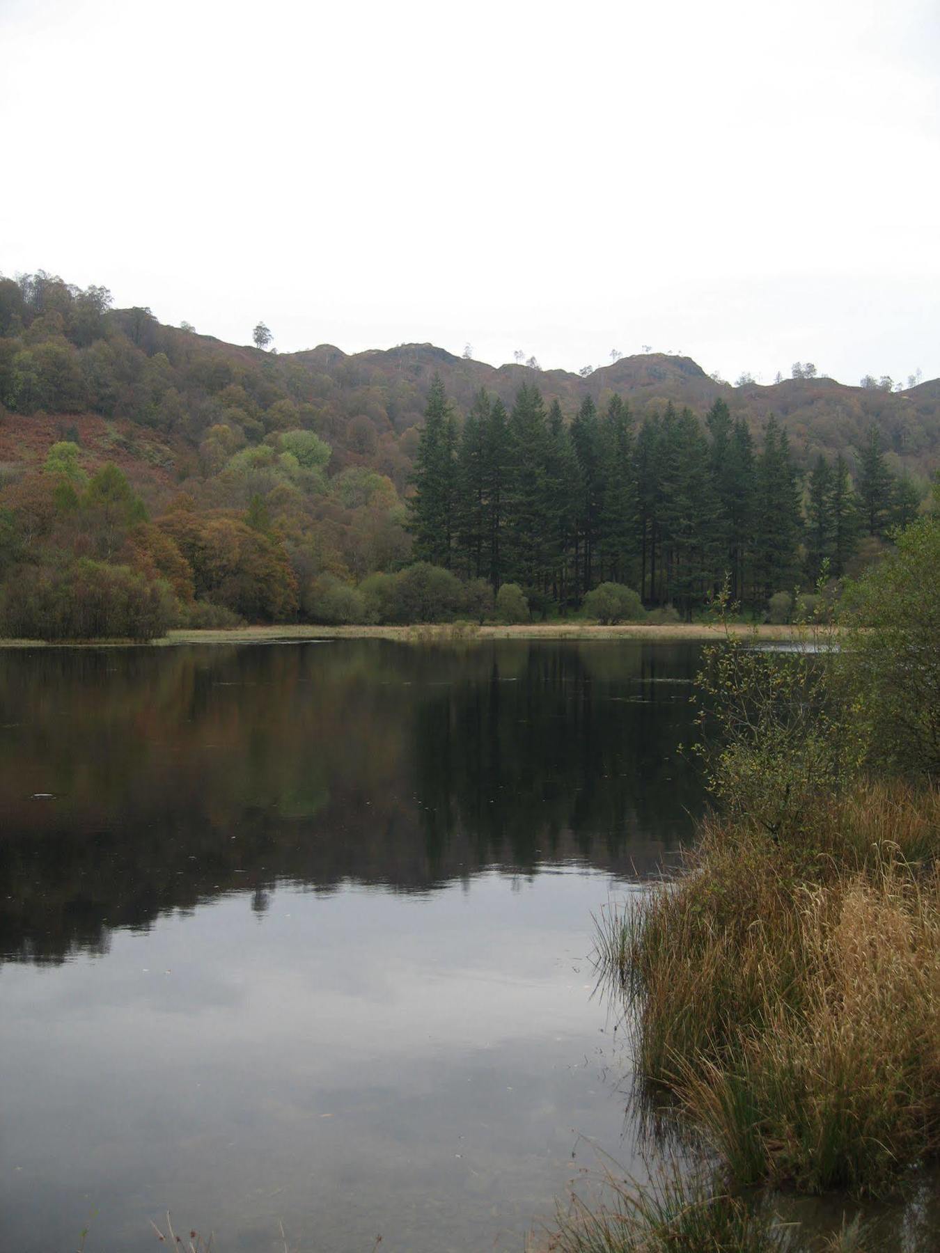 Crompton House Daire Windermere Dış mekan fotoğraf